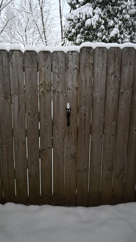 Snowy Fence Door, 