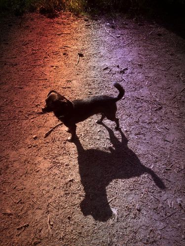 4b048777-f14b-4dc7-afb2-3b3653657827-1_all_5168, 